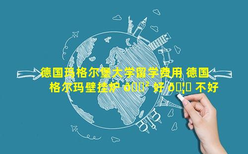 德国玛格尔堡大学留学费用 德国格尔玛壁挂炉 🌲 好 🦋 不好